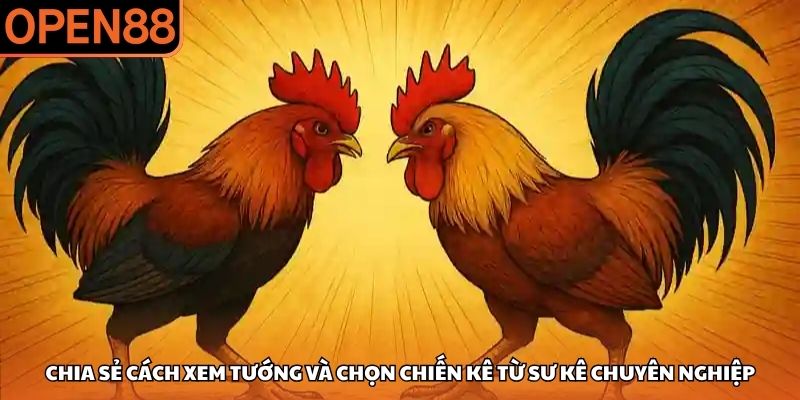 Đá gà OPEN88