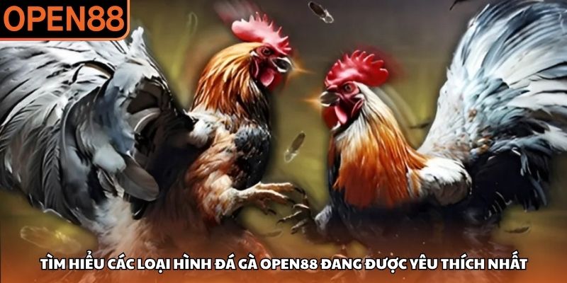 Đá gà OPEN88